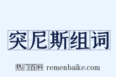 突尼斯组词是什么意思的图片